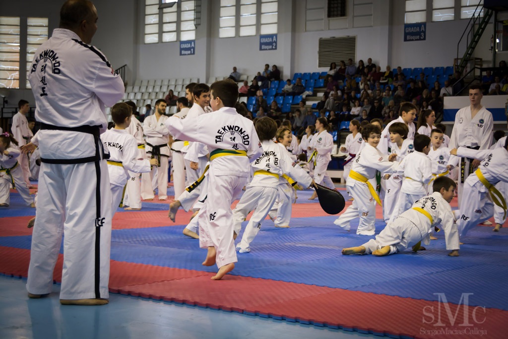 DIA DEL TAEKWONDO ABRIL 2017_3644.JPG